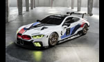 BMW M8 GTE and IMSA GTLM for 2018